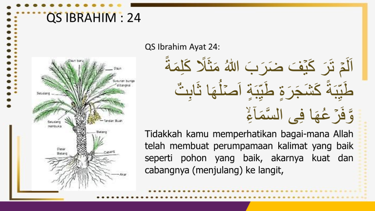 Slide2